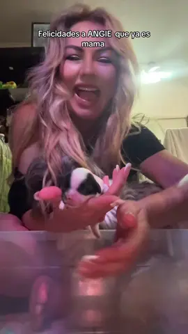 #perritos #viral #publico #feliz #casa 