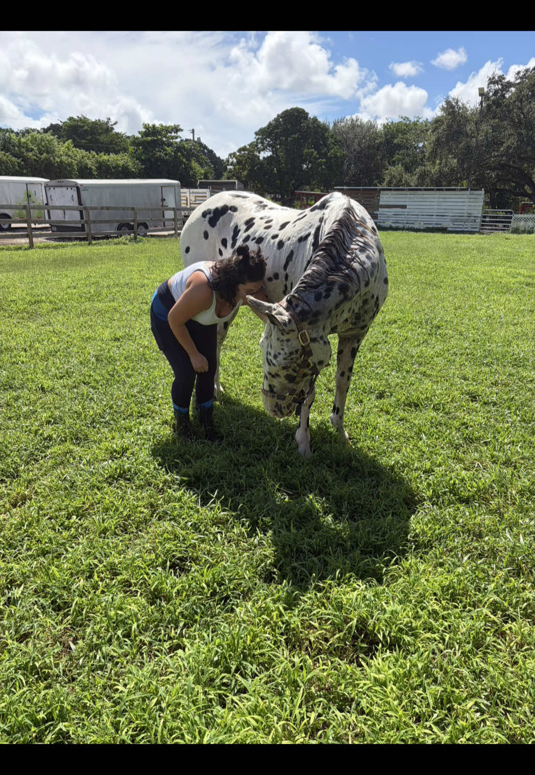 Riding update! #barebackriding #bareback #southflorida 