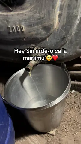 #fyyyyyyyyyyyyyyyy #fyy #offroading #😍😍😍 #bucuria 