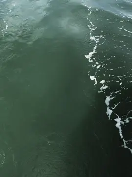 Nhieu nam qua ta song nhu mot ke ngong cuon                    #xuhuong2025 #abcxyz 