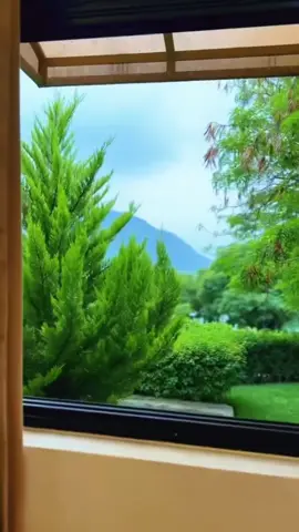 #اليمن_اب😫💐 #اب_وجوها😍 #اليمن🇾🇪المملكة🇸🇦 #متابعه_ولايك_واكسبلور #طلعوني_اکسبلور 