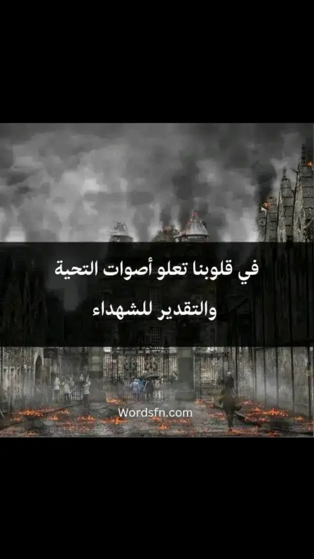 #الشهداء_احياء_عند_ربهم_يرزقون💔😔 