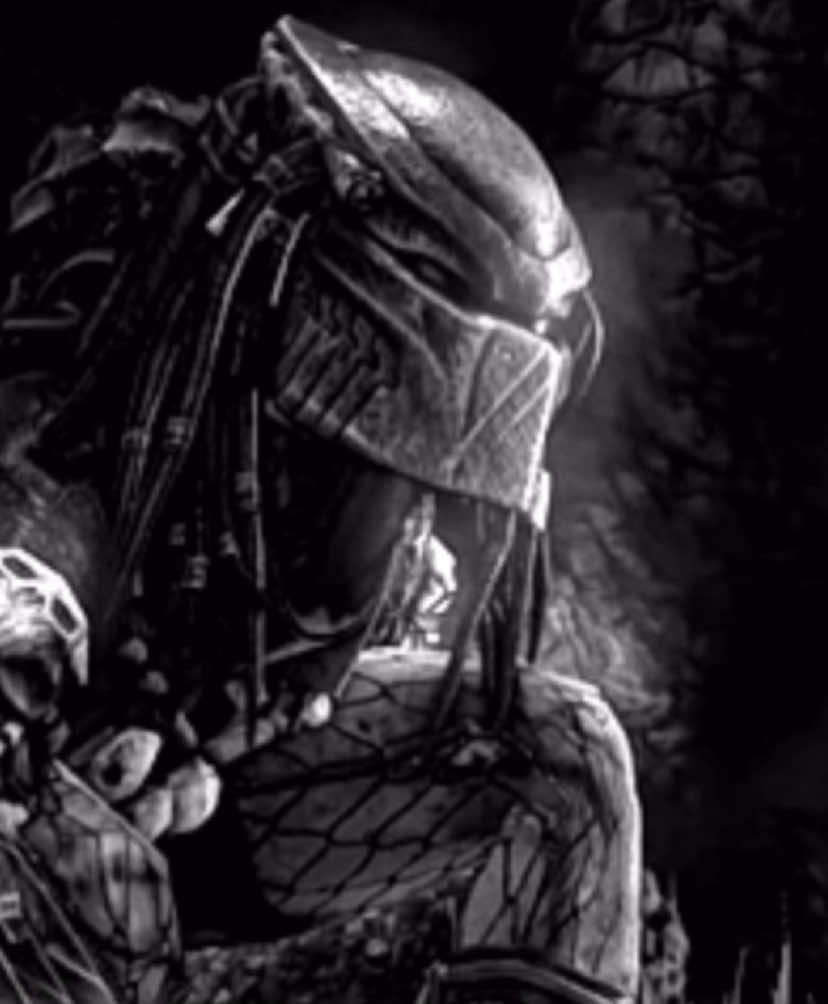 Best game oat. #predator #alienvspredator #avp2010 #yautja #alienromulus 