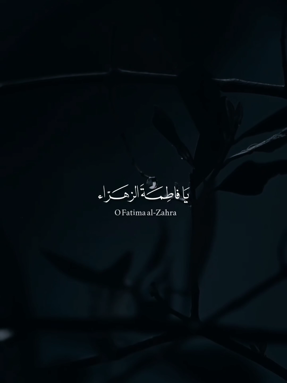 الَهِي بافَاطمةَ 🤎 .     #دعاء #viral #العراق #بغداد #فاطمة_الزهراء 