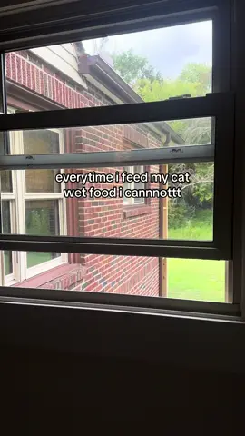 i’m so dramatic i know but it STANKY #cat