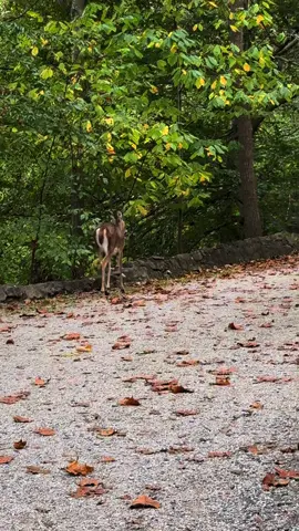 A weekend in my world 🤎