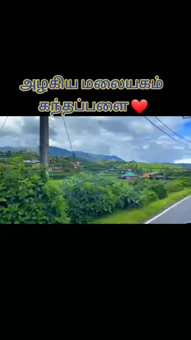 Alex ❤️