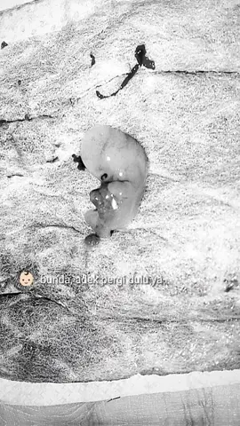 nak kenapa kamu menyerah disaat bunda dan keluarga bunda sudah nerima kamu sayang, maafkan bunda sayang, bunda sudah berusaha semaksimal mungkin mempertahankan kamu nak, tapi kamu memilih untuk pulang, jangan pernah lupakan bunda yaa sayang, bunda sayang banget sama kamu, bunda dari tadi ga berhenti nangisin kamu sayang, tolong jemput bunda sayang biar kita bisa bahagia bareng di syurga nya allah, bunda bertahan hidup demi kamu sayang tapi kamu malah ninggalin bunda sendiri disini, tunggu bunda yaa sayang🥹👼🥀 #Muhammad_rayyanza_keenan_arkhana