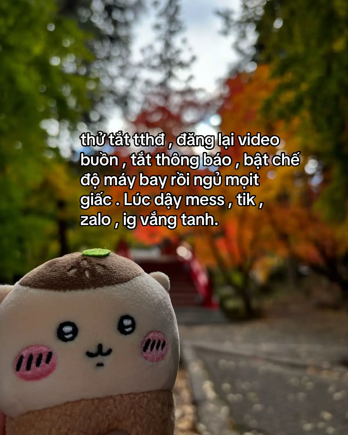 #58tn #luvusagiwmomonga #niuusagi #xuhuonggggggggggggggggg #fyp 