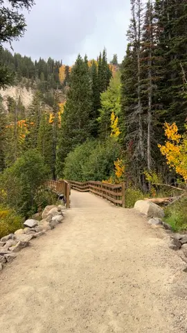Silver Lake, Utah 😍 me encanta visitar este lugar y más en este tiempo cuando los árboles se pintan de colores 🍁💛 ¿Ya lo visitaste?  #silverlake #bigcottonwoodcanyon #utah #autumn #fypシ 