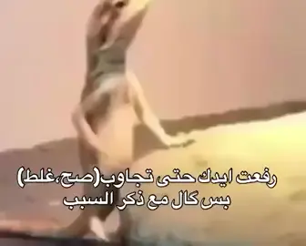 #صح #مالي_خلق_احط_هاشتاقات #الشعب_الصيني_ماله_حل😂😂 #fyp #fyppppppppppppppppppppppp 