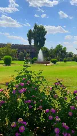 #👌🏻❤ #ستوريات #جامعه #موصل #هدوء 