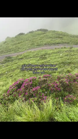 #aabishkar_basnet #fyp 