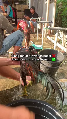 Terimakasih karlo sudah memberikan yang terbaik #bangkok #pakhoy