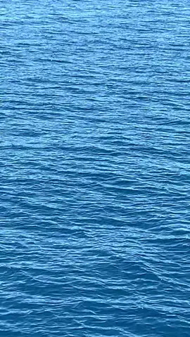 #lake ❤️‍🔥❤️‍🔥❤️‍🔥🥰🥰🥰
