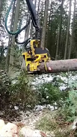 #treecuting #machine #forestry #logger #asmr #foryour 
