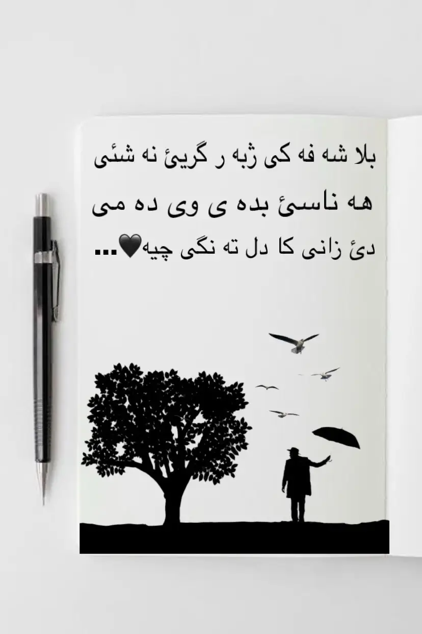 #زاخو #دهوك #zaxo_duhok_hewler_slemani_hawler 