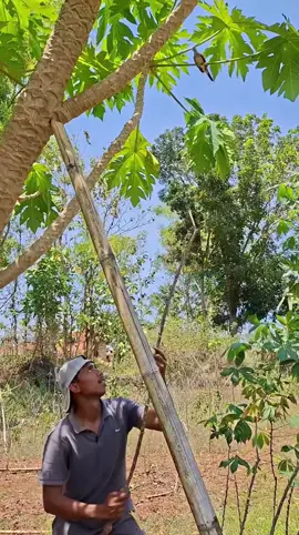 Facile à attraper #tik_tok #visibilité #fyp 