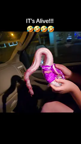 Wyatt needs to quit playing with our food! 🤣🤣#fypシ゚viral #funny #tiktok #hunter #countryboy 