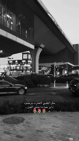 مثل #الظبي✨🦌 #اكسبلورexplore #تصويري📷 #شيلات_فخمة❤️ #الوليد_ال_عامر 