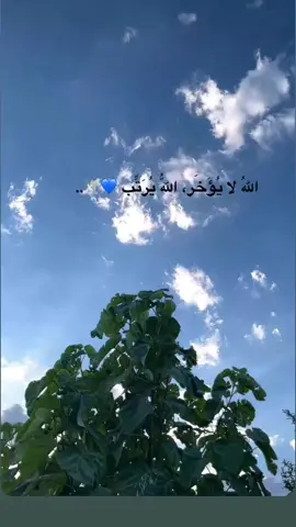 صح والله 
