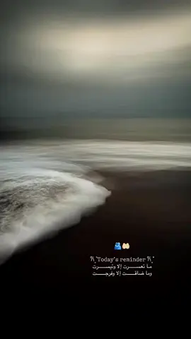 🕊️🤍