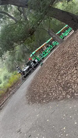 #pumpkinpatch #itsthattimeofyear #🎃👻 