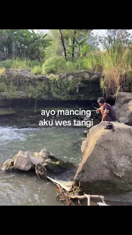 info🎣#mancing #moots #fyp #foryoupage #4u 
