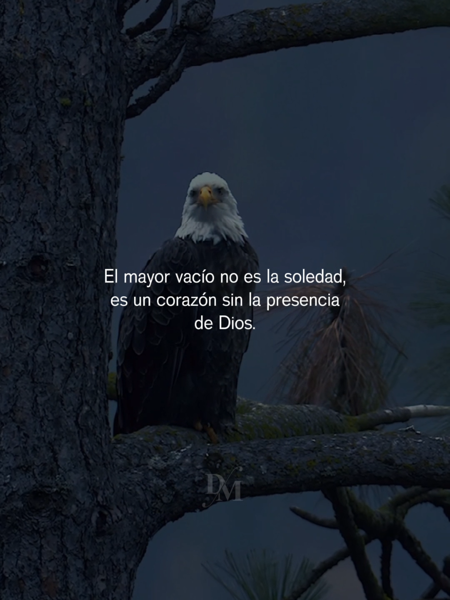 El mayor vacío no es la soledad.