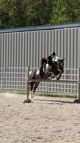 She jumped so good today! 🔥#fyp #equestrian #xyzbca #horsejumping #horses 