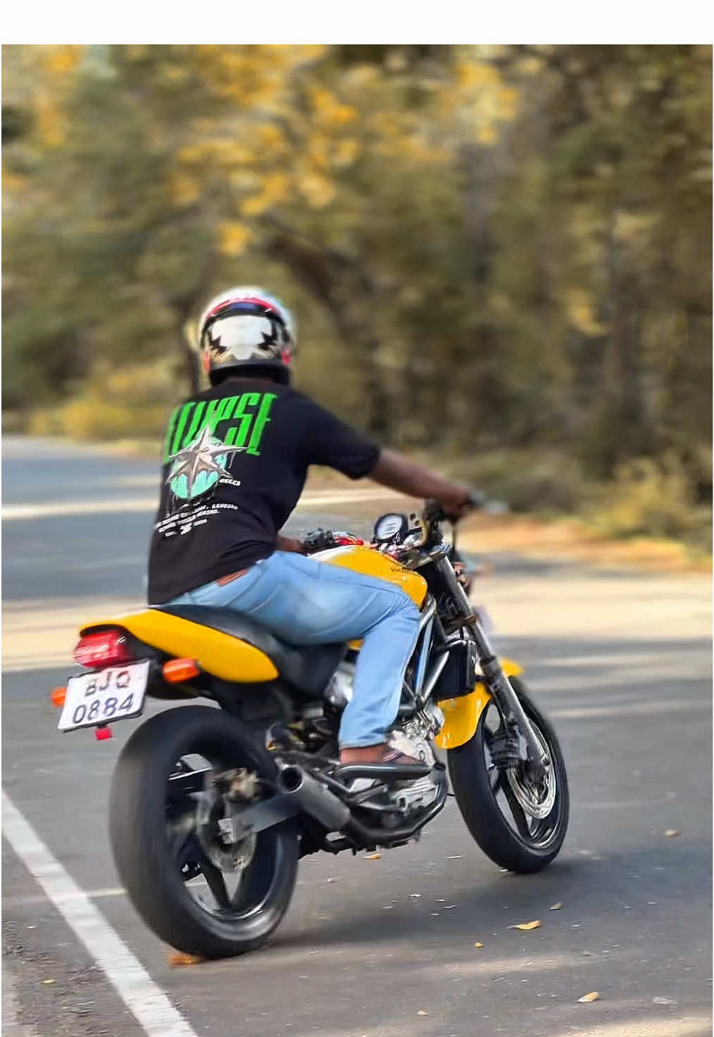 VTR 👀💛#hornet #fylpシ #vtr_💫 #bikevideo #wickey
