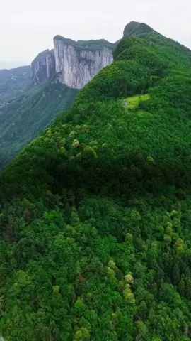 اللهم ان كان رزقي في السماء فانزله برحمتك29/09/2025🤲🌹 #دعاء_يوم_الاثنين #creatorsearchinsights #اللهم_امين_يارب_العالمين #اللهم_لك_الحمد_ولك_الشكر #صباح_الخير يارب🤲🌹 