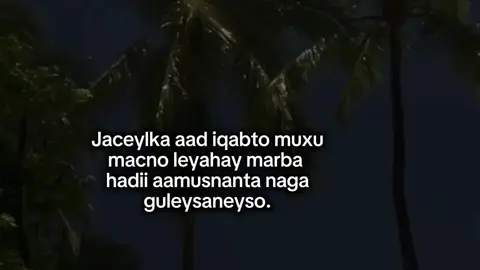 🤍#fyp #fouryoupage #viral #hamitt🚩  9:00🔥💔
