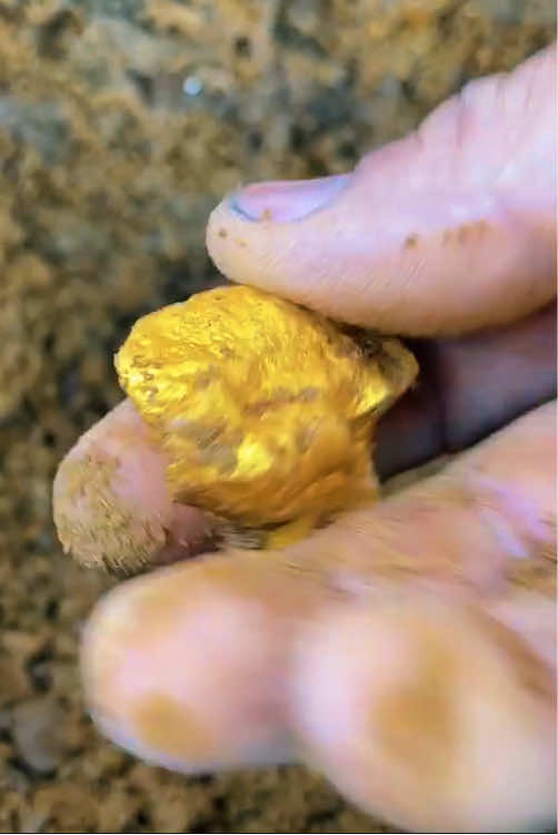 #treasure #treasurefinds #gold #diamond #treasurehunt 