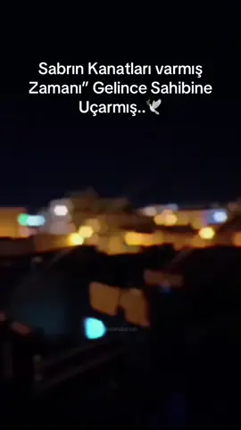 #CapCut #🥀🕊️