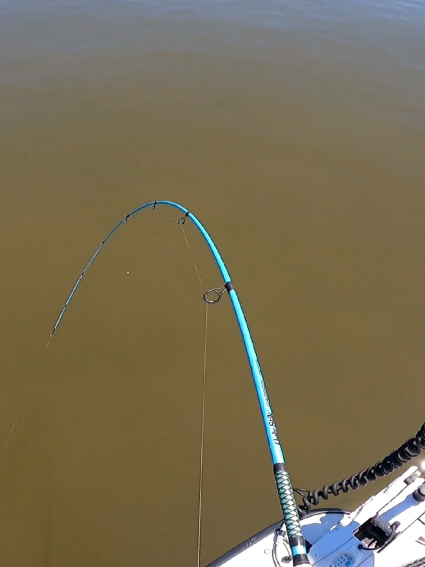 #fishtok #fishing #saltwaterfishing #uglystik #beaufortsc 