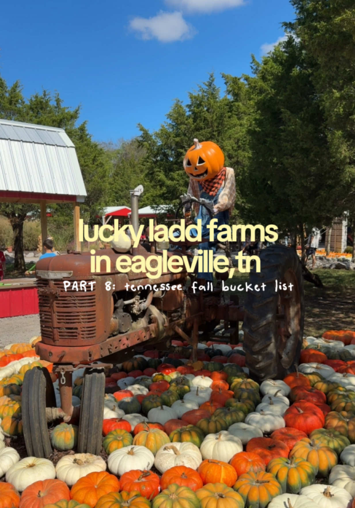 Tennessee Fall Bucket List- Part 8! Lucky Ladd Farms in Eagleville, TN! Personally- I would say this place is geared more towards a family outing w/ kids! 🍂🍂 Lucky Ladd Farms 📍4306 Rocky Glade Rd, Eagleville, TN 37060 #nashville #fallactivities #nashvillefall @cocokind @Sweed Beauty @Lucky Ladd Farms 