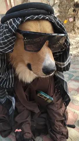 هم اجة شخص علة بالك @@ #الشعب_الصيني_ماله_حل😂😂 #ترندات_تيك_توك #ترند #الشعب_الصيني_ماله_حل😂😂 #الشعب 