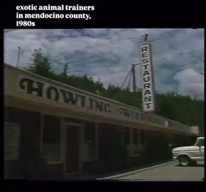 I can’t find any info online about this location or the animals in this video. If anyone knows more info, please DM me or comment