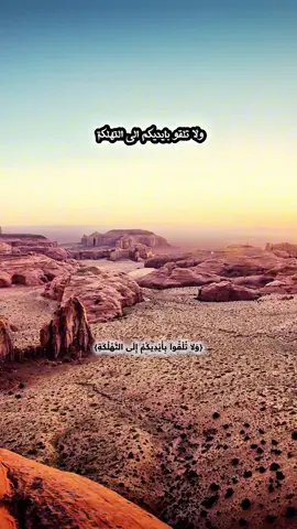 ولا تلقو بايديكم الى التهلكة  . . . . . . . . #سوريا_تركيا_العراق_السعودية_الكويت_عمان #السعودية_الكويت_قطر_الإمرات_سلطنة_عمان #لبنان_مصر_الخليج_سوريا #السعودية_الكويت_مصر_العراق_لبنان #العراق_السعوديه_الاردن_الخليج #وليد_السناني  الشيخ حمد الحميدي 