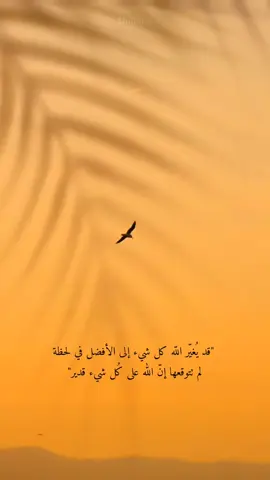 #كلام_من_القلب #❤️ #🦋 #خواطر #🌹 