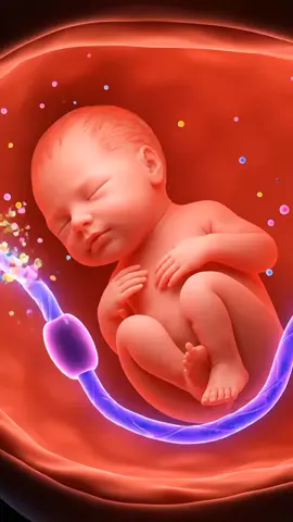 3. Foods that help pregnant moms have an easier natural birth #tipsbaby #pregnancy #babytiktok #fyp #baby 