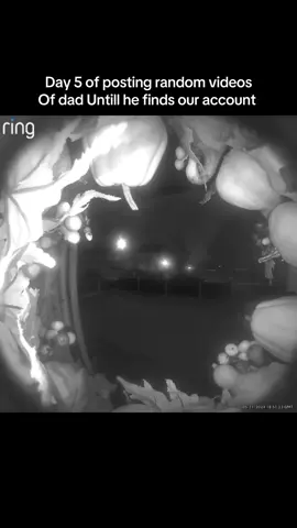 Dads spirit of bonfire night 🙄🤣 #ringdoorbell #bonfire #foru #fireworks #funnytiktok 
