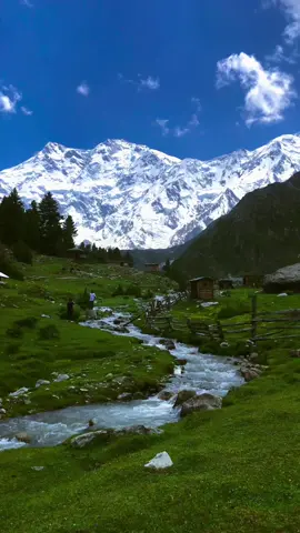 Beyal Camp Fairy Meadows 😍🏔️❤️ 𝐏𝐥𝐚𝐧 𝐲𝐨𝐮𝐫 𝐩𝐞𝐫𝐟𝐞𝐜𝐭 𝐜𝐮𝐬𝐭𝐨𝐦𝐢𝐳𝐞𝐝 𝐁𝐲 𝐚𝐢𝐫 𝐭𝐫𝐢𝐩 & 𝐛𝐲 𝐫𝐨𝐚𝐝 𝐭𝐫𝐢𝐩𝐬 𝐭𝐨 𝐝𝐢𝐟𝐟𝐞𝐫𝐞𝐧𝐭 𝐝𝐞𝐬𝐭𝐢𝐧𝐚𝐭𝐢𝐨𝐧𝐬 𝐢𝐧 𝐩𝐚𝐤𝐢𝐬𝐭𝐚𝐧 𝐰𝐢𝐭𝐡 𝐒𝐤𝐚𝐫𝐝𝐮 𝐓𝐨𝐮𝐫𝐢𝐬𝐦 𝐂𝐥𝐮𝐛 Skardu | Hunza | Fairy meadows | Astore minimerg | Naran kaghan     Direct flights available from Karachi - Lahore - Islamabad  & Dubai  1: Family Tours  2: Honeymoon Tours  3: Corporate Tours  4: Group Tours 5: College / university tours  Make memories with your loved ones We are offering affordable packages. Get your quote today.  WhatsApp us number mentioned in profile #foryoupage #viraltiktok #viralriktok #k2adventureclub #pakistantripsadvisor 