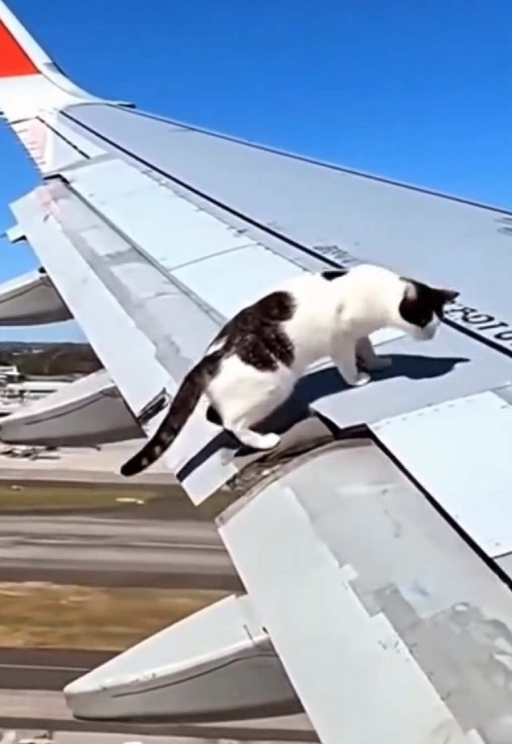 Nonbelievers will say it’s not real…🤣 #ai #viral #fypシ #caughtoncamera #viralvideo 
