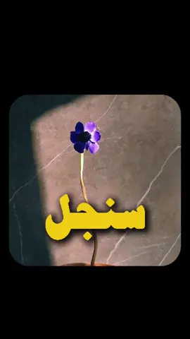 فكرة مش كدة!؟ #سنجل 