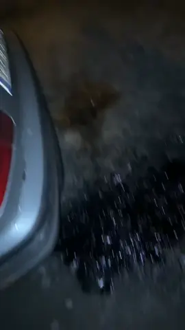 #fy #e46 #bmw #turbodiesel #foryour 