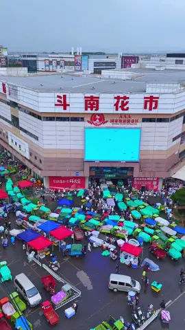 Have you seen the Dounan Flower Market, which is the first in Asia and the second in the world?Today, the drone perspective will show you.#FlowerWholesale #FloristSupplier #BulkFlowers #WeddingFlowers #FlowerFarm  