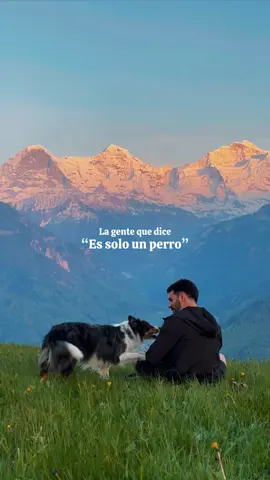 Nunca lo entenderán ❤️🐶 La gente que dice “es solo un perro” nunca lo entenderá. No comprenderán nuestro vínculo ni el amor que sentimos por ellos. No entenderán que adaptemos nuestros planes a su lado, ni que estemos deseando llegar a casa solo para que alguien explote de felicidad al vernos. Jamás entenderán que los queramos más que a muchas personas. Quizás, si alguna vez vivieran un amor así, sería diferente. Quizás se darían cuenta de que nunca se trató solo de un perro. Quizás podrían sentir el amor más leal, incondicional y puro que alguien puede experimentar. Solo entonces, quizás, verían el mundo de una forma diferente. Porque lo que ellos dan no se llama “solo un perro”. Se llama familia, se llama hogar, se llama amor incondicional. #amorperruno #viajarconperro 
