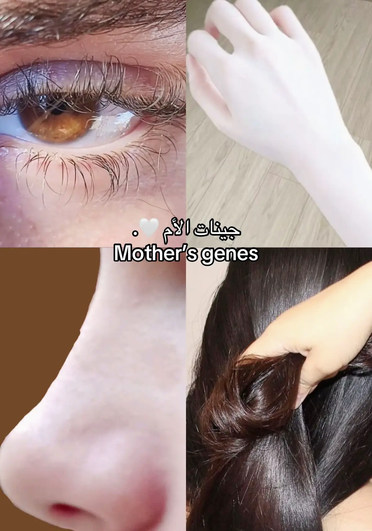 النتيجه 🦊💚.. #fypシ゚ #syria #armenia #النتيجه #جينات 